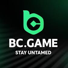 BCStavka APK Overview Your Guide to Mobile Betting -191264608